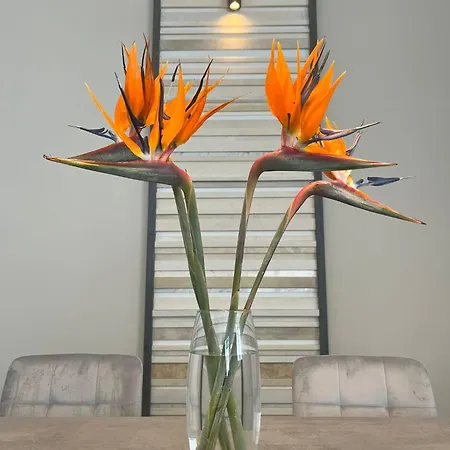 Appartement Libeccio House