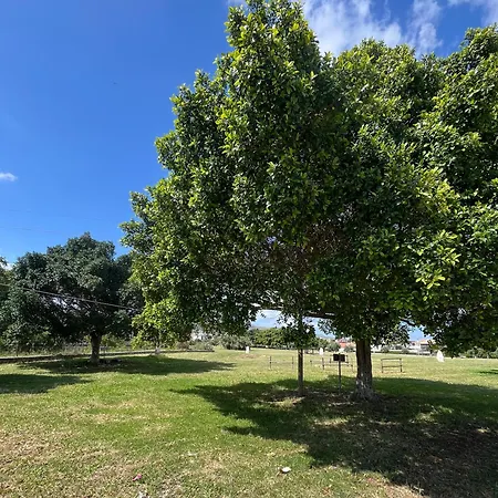 Libeccio House * Avola