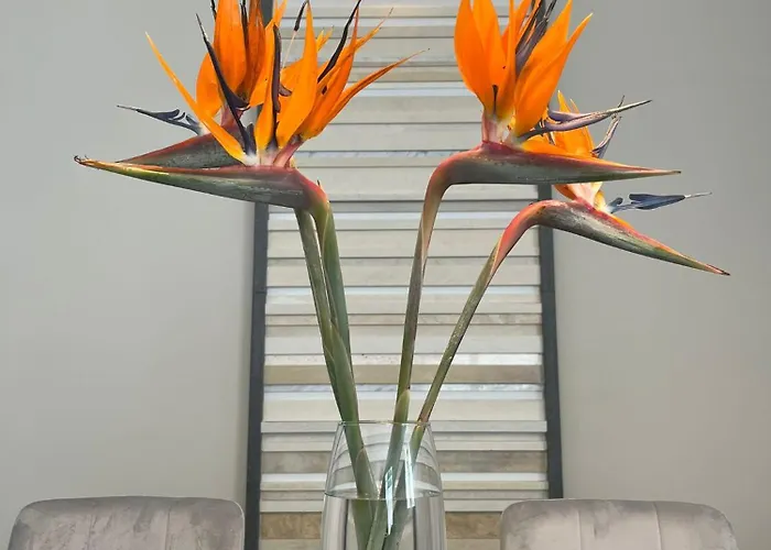 アパート Libeccio House