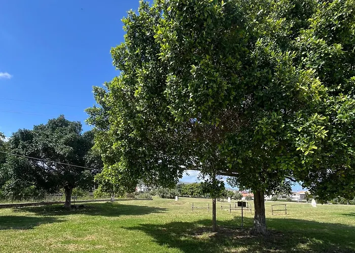 Libeccio House * アヴォラ